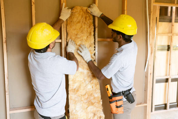 Best Eco-Friendly or Green Insulation Solutions  in Sulligent, AL